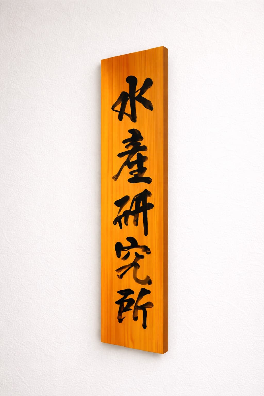 水産研究所の様子